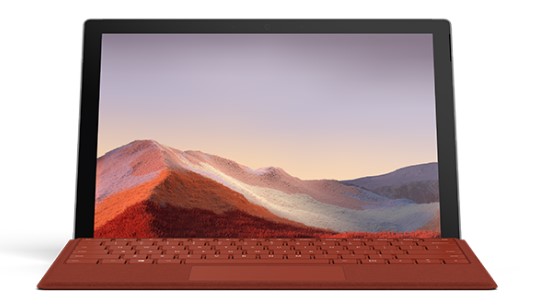 排湖风景区清洁和维护 Surface